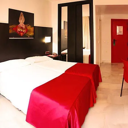 Hotel Del Pintor 3*